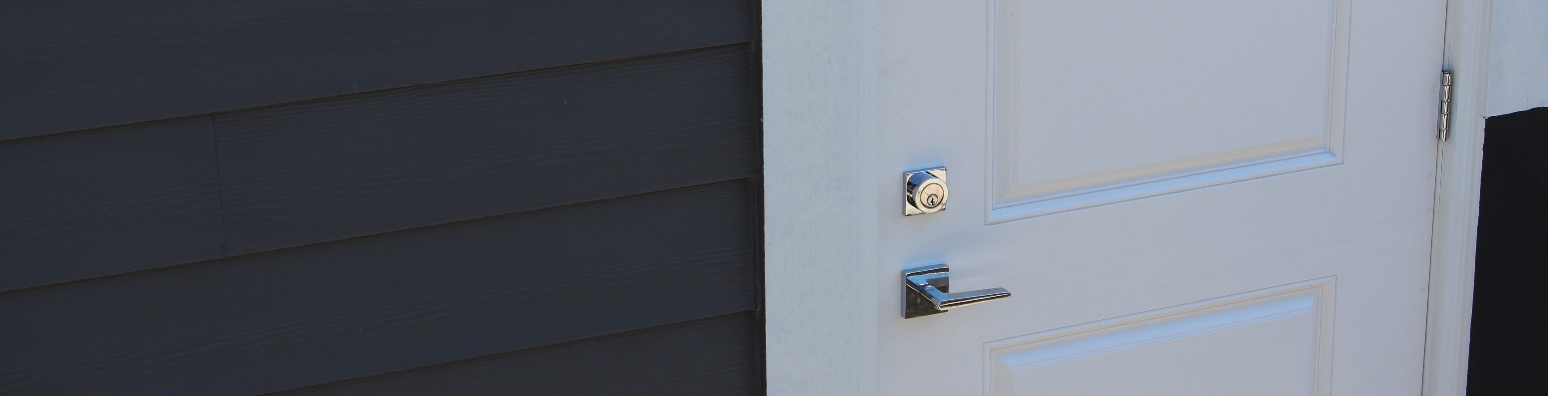 IMG_2879 copy Active Doors